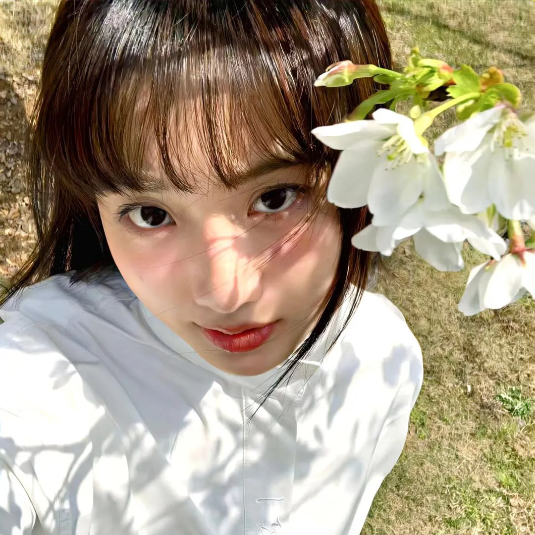 疯狂的兔子